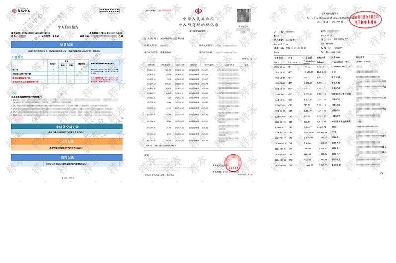 征信报告,完税证明,银行流水样本
